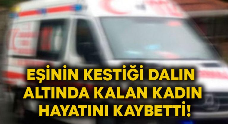 Eşinin kestiği dalın altında kalan kadın hayatını kaybetti!