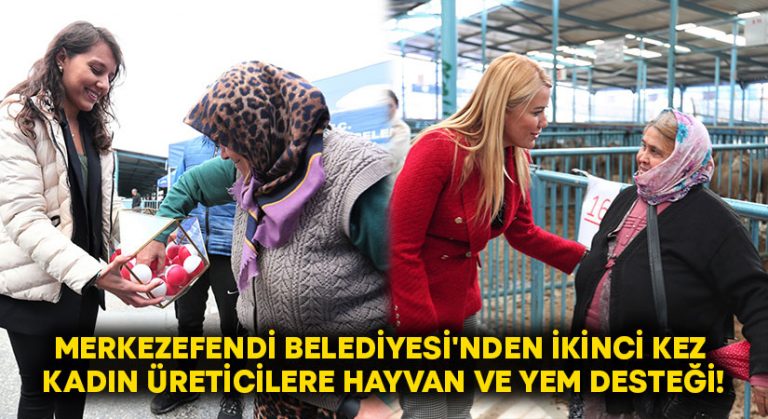 Merkezefendi Belediyesi’nden kadın üreticilere hayvan ve yem desteği!