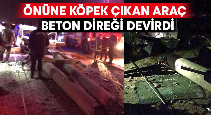 Önüne köpek çıkan araç manevra yaparken beton direği devirdi