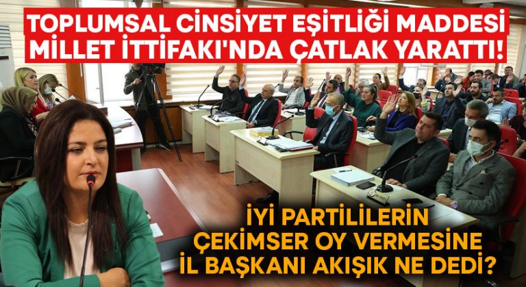 Toplumsal Cinsiyet Eşitliği Maddesi Millet İttifakı’nı çatlak yarattı