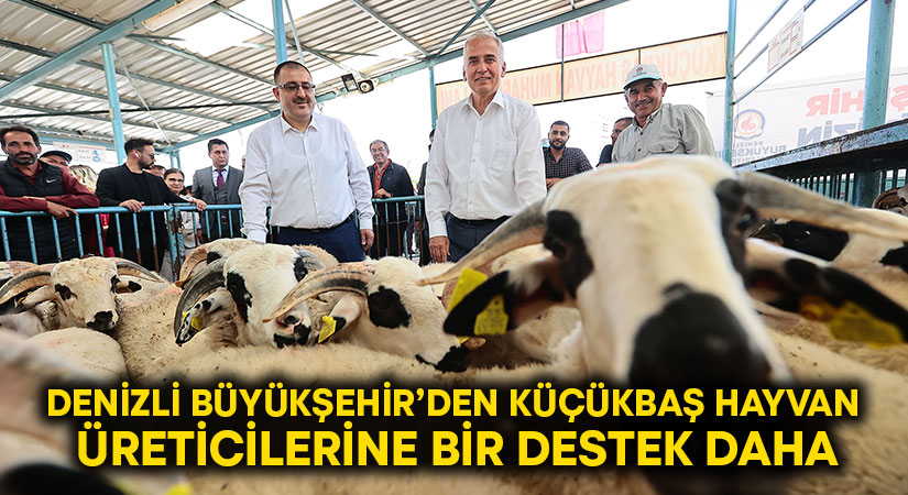 Denizli Büyükşehir’den küçükbaş hayvan üreticilerine bir destek daha