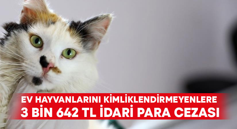 Ev hayvanlarını kimliklendirmeyenlere 3 bin 642 TL idari para cezası