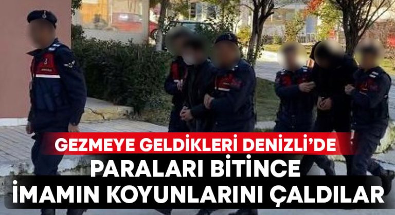 Gezmeye geldikleri şehirde paraları bitince imamın koyunlarını çaldılar