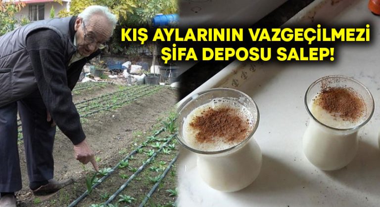 Kış aylarının vazgeçilmezi şifa deposu salep!