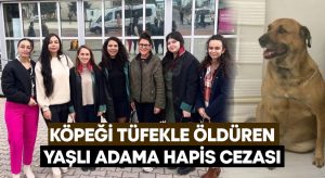 Köpeği tüfekle öldüren yaşlı adama hapis cezası