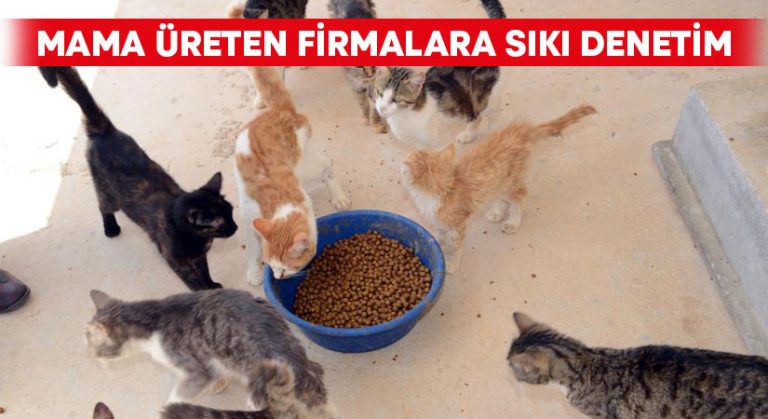 Mama üreten firmalara sıkı denetim