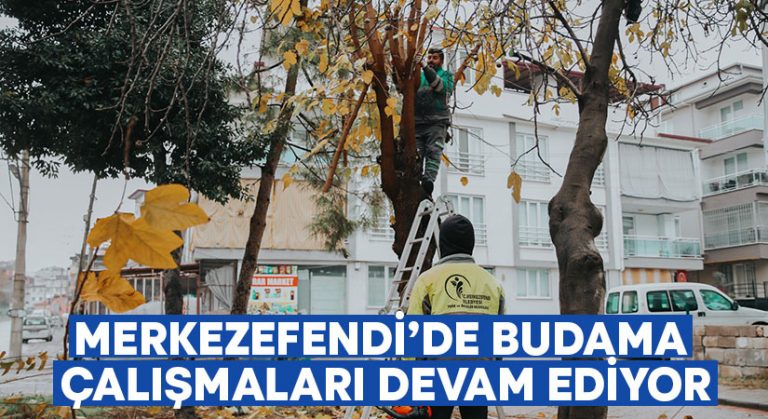 Merkezefendi’de budama çalışmaları devam ediyor