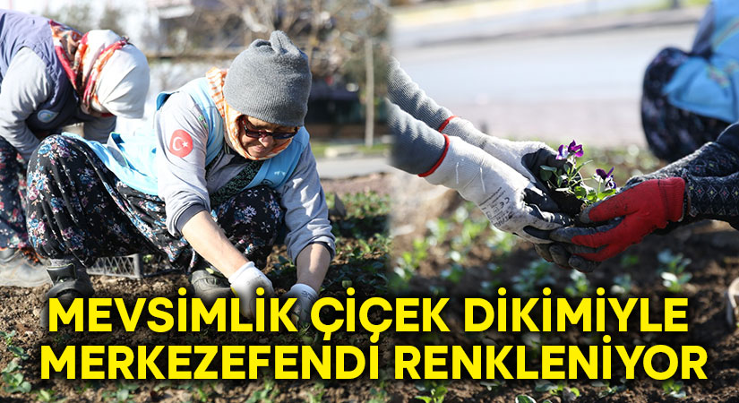 Mevsimlik çiçek dikimiyle Merkezefendi renkleniyor