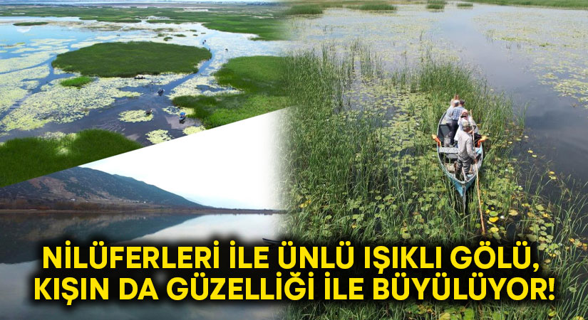 Nilüferleri ile ünlü Işıklı Gölü, kışın da güzelliği ile büyülüyor!