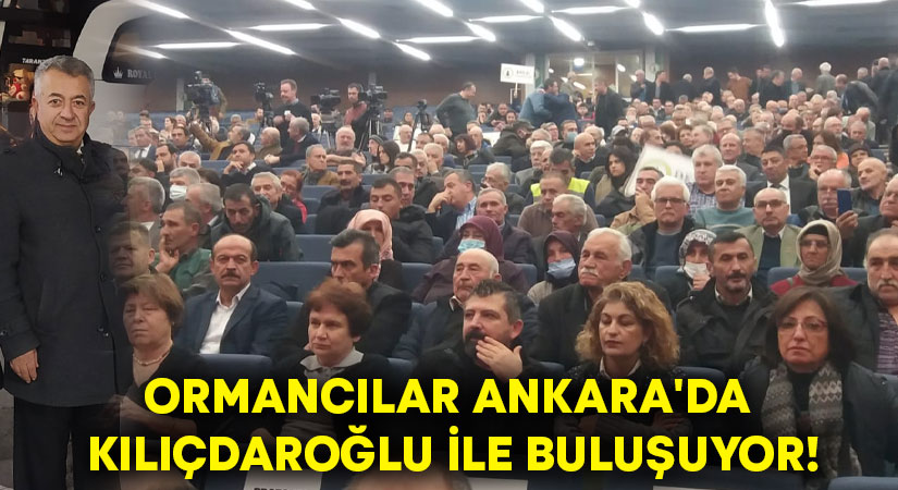 Ormancılar Ankara’da Kılıçdaroğlu ile buluşuyor!