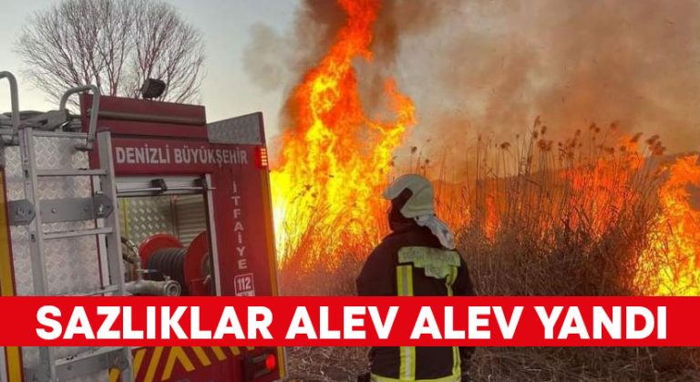 Sazlıklar alev alev yandı