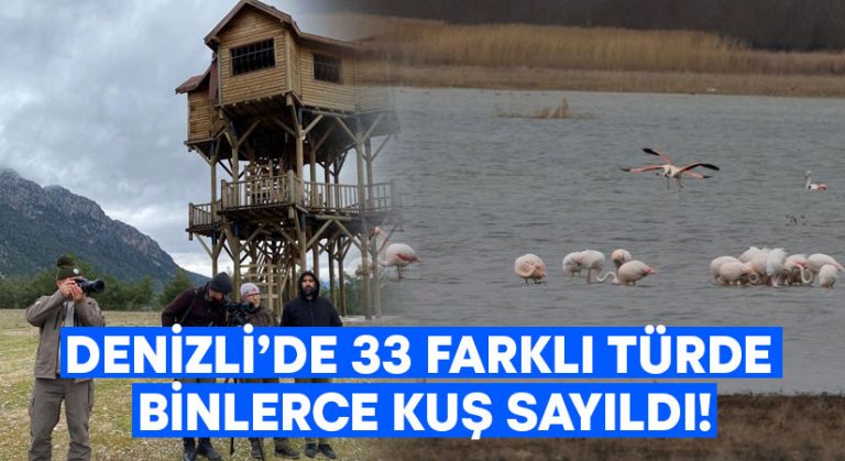 Denizli’de 33 farklı türde binlerce kuş sayıldı!