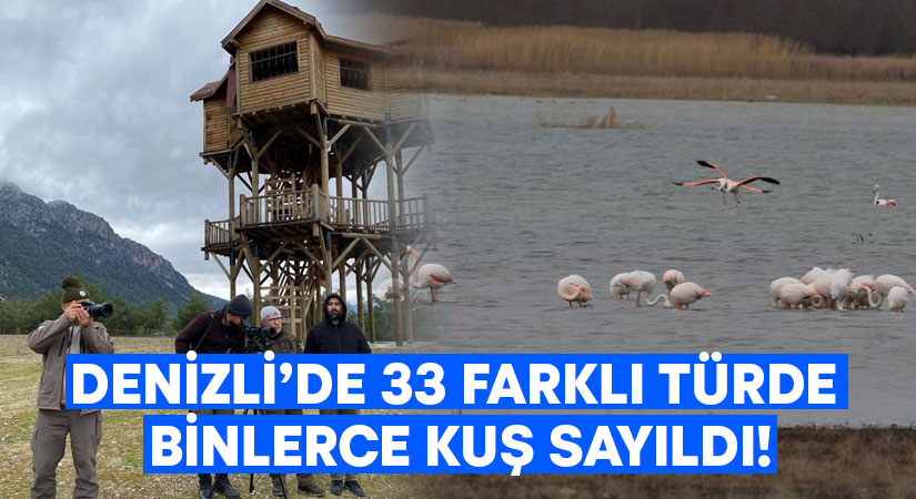 Denizli’de 33 farklı türde binlerce kuş sayıldı!