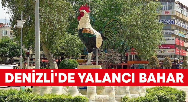 Denizli’de yalancı bahar