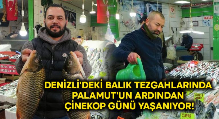 Denizli’deki balık tezgahlarında palamut’un ardından çinekop günü yaşanıyor!