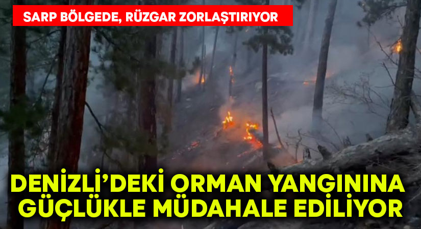 Denizli’deki orman yangınına güçlükle müdahale ediliyor