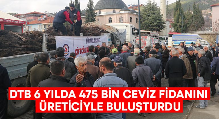 DTB 6 yılda 475 bin ceviz fidanını üreticiyle buluşturdu