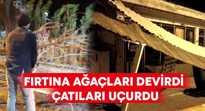 Fırtına ağaçları devirdi, çatıları uçurdu