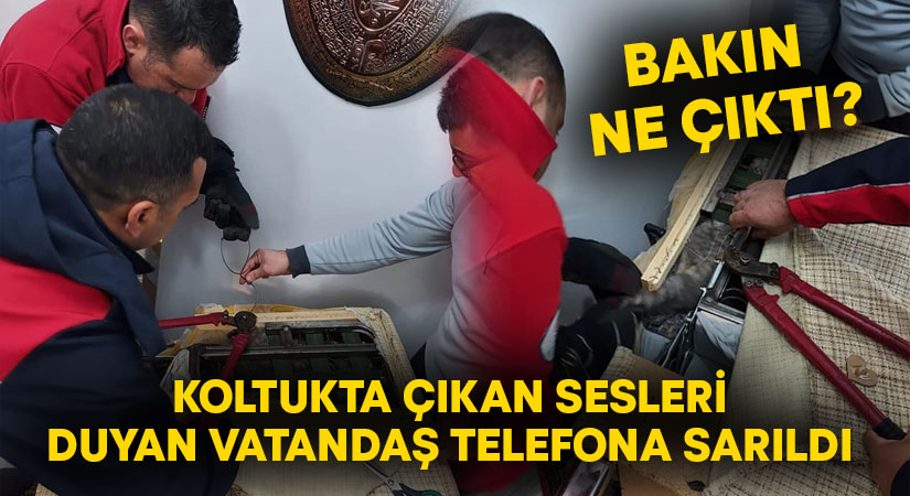 Koltukta çıkan sesleri duyan vatandaş telefona sarıldı.. Bakın ne çıktı?