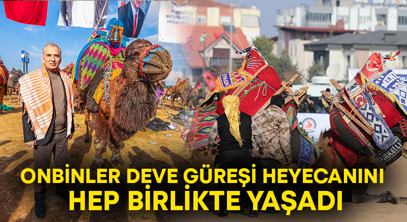 Onbinler deve güreşi heyecanını hep birlikte yaşadı