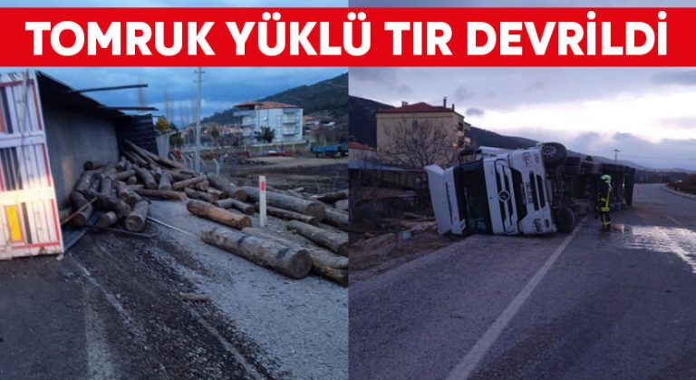 Tomruk yüklü tır devrildi