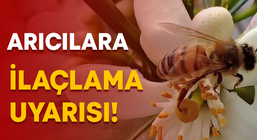 Arıcılara ilaçlama uyarısı!