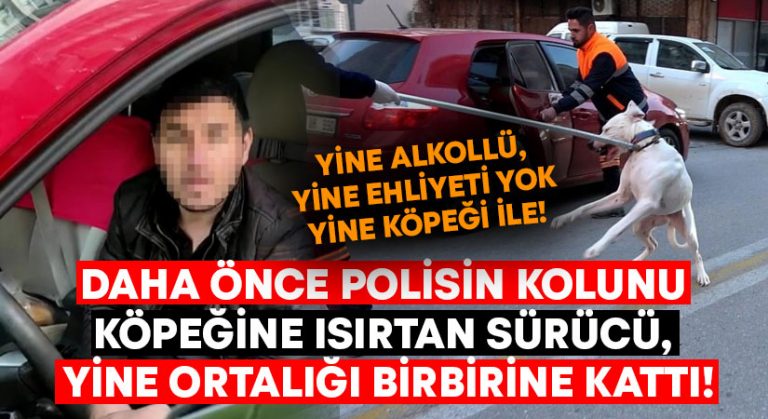 Daha önce polisin kolunu köpeğine ısırtan sürücü, yine ortalığı birbirine kattı!