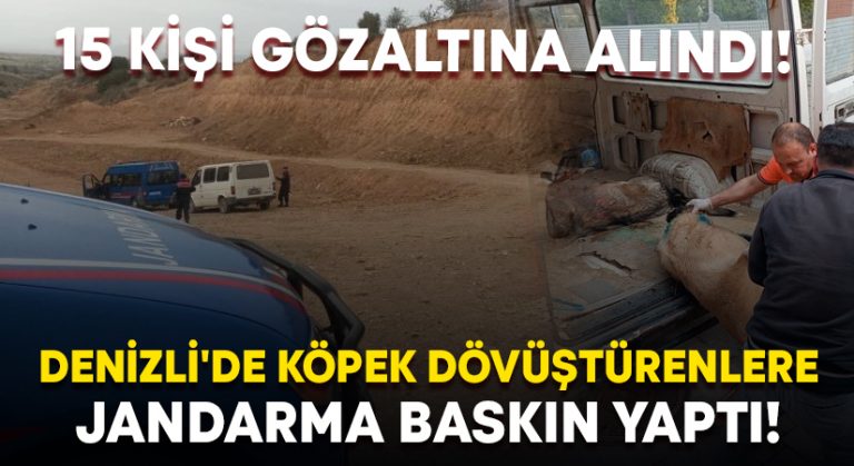 Denizli’de köpek dövüştürenlere jandarma baskın yaptı!