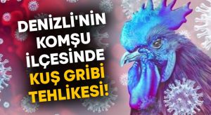 Denizli’nin komşu ilçesinde kuş gribi tehlikesi!