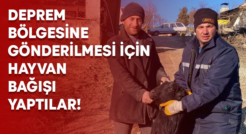 Deprem bölgesine gönderilmesi için hayvan bağışı yaptılar!