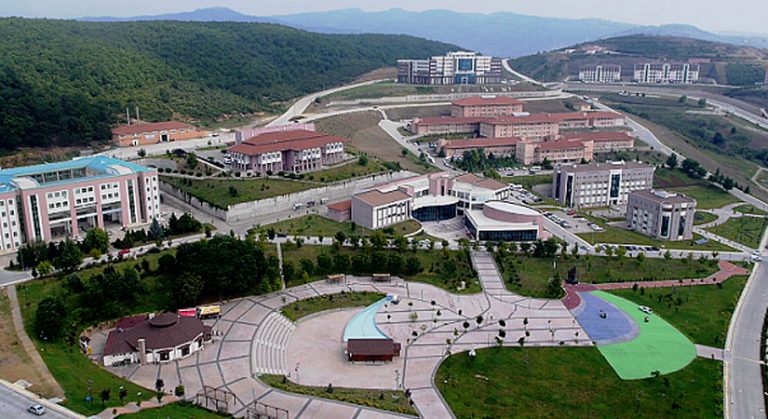 Düzce Üniversitesi sözleşmeli personel alımı 2023