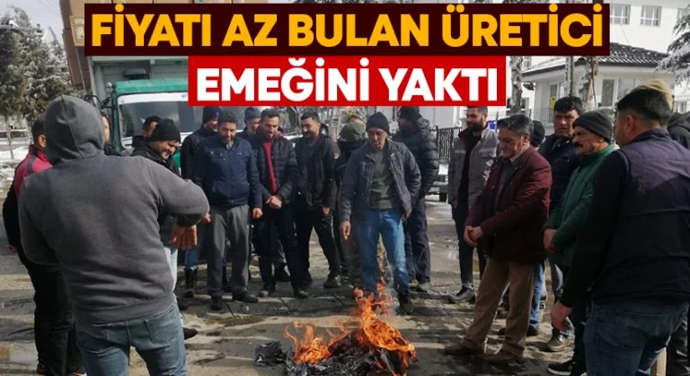 Fiyatı az bulan tütün üreticisi emeğini yaktı