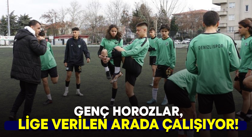 Genç horozlar, lige verilen arayı çalışarak geçiriyor