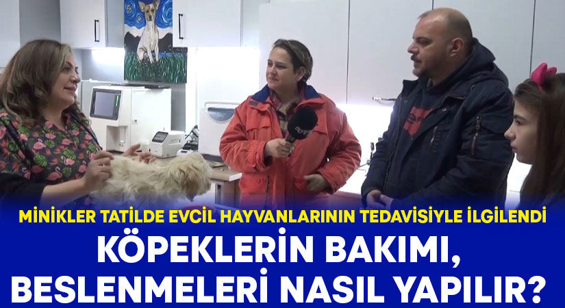 Minikler tatilde evcil hayvanlarının tedavisiyle ilgilendi