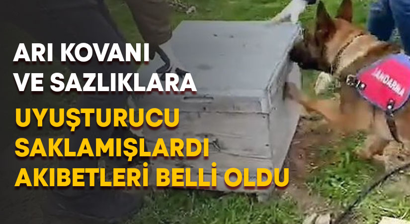 Arı kovanına ve sazlıklara uyuşturucu saklamışlardı.. Akıbetleri belli oldu