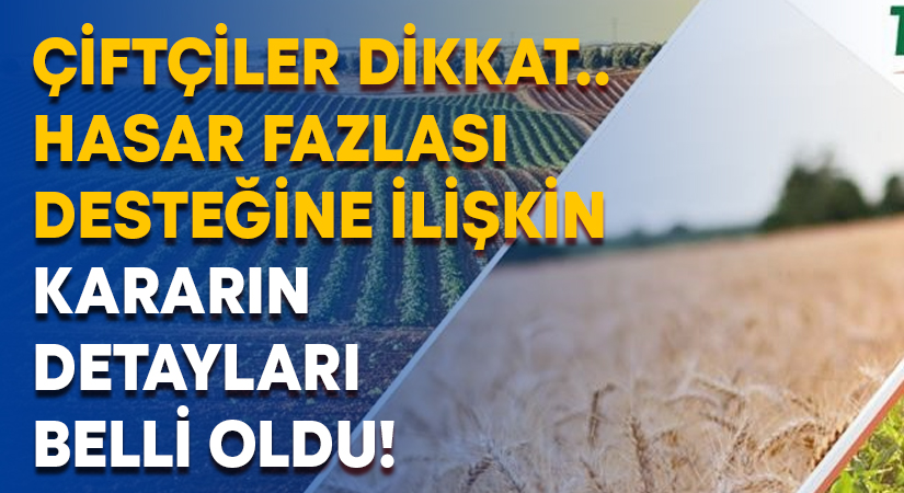 Çiftçiler dikkat.. Hasar fazlası desteğine ilişkin kararın detayları belli oldu!