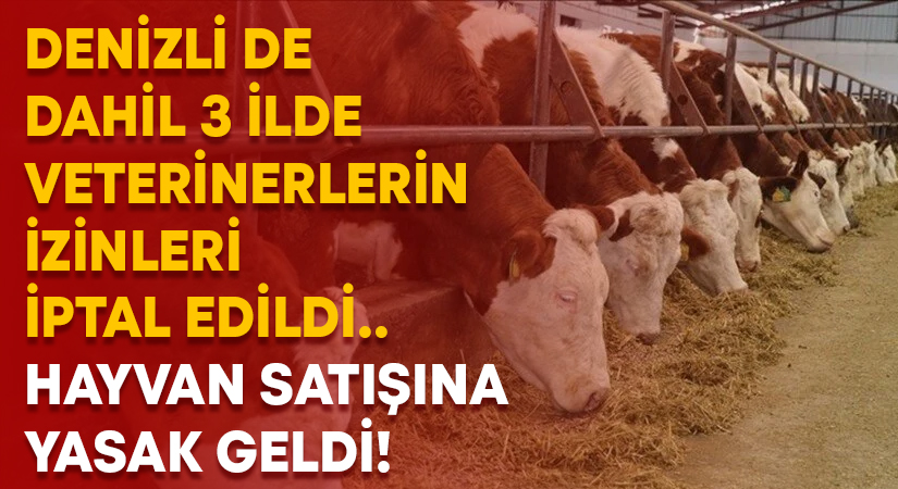 Denizli de dahil 3 ilde veterinerlerin izinleri iptal edildi.. Hayvan satışına yasak geldi!