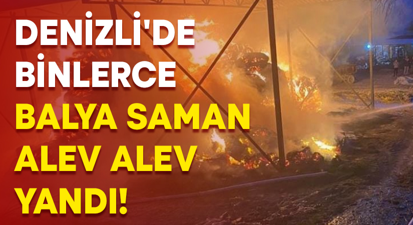 Denizli’de binlerce balya saman alev alev yandı!