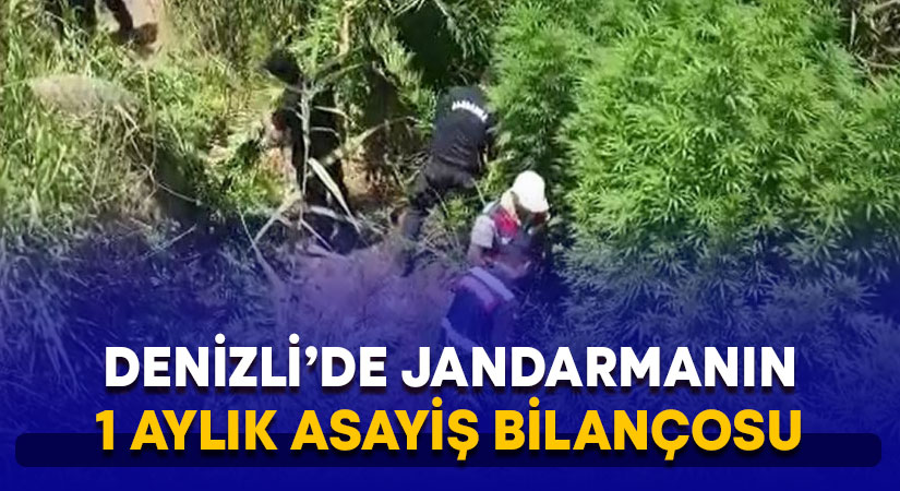 Denizli’de jandarmanın 1 aylık asayiş bilançosu açıklandı