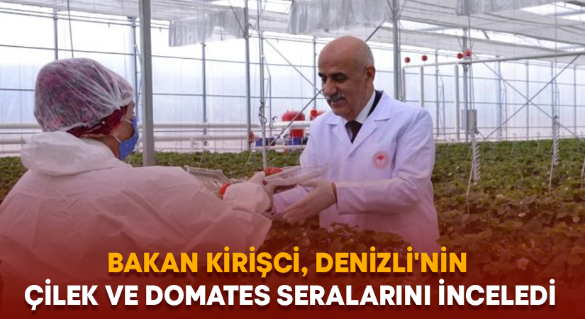 Bakan Kirişci, Denizli’nin çilek ve domates seralarını inceledi