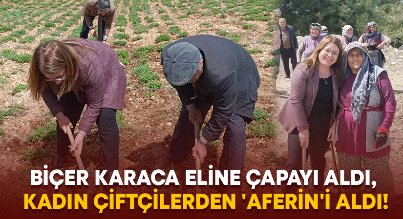 Biçer Karaca eline çapayı aldı, kadın çiftçilerden ‘Aferin’i aldı!