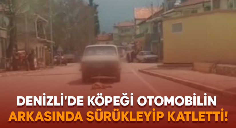 Denizli’de köpeği otomobilin arkasında sürükleyip katletti!