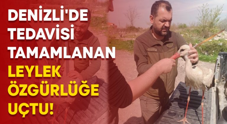 Denizli’de tedavisi tamamlanan leylek özgürlüğe uçtu!