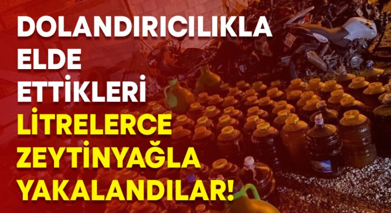 Dolandırıcılıkla elde ettikleri litrelerce zeytinyağla yakalandılar!