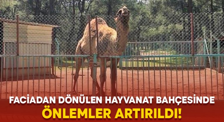 Faciadan dönülen hayvanat bahçesinde önlemler artırıldı!