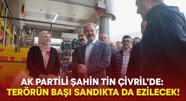 AK Partili Şahin Tin: Terörün başı sandıkta da ezilecek!