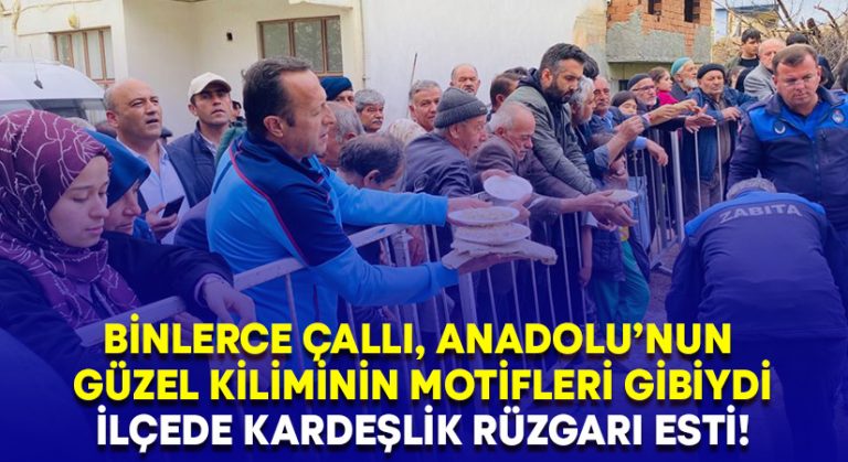 Binlerce Çallı, Anadolu’nun güzel kiliminin motifleri gibiydi.. İlçede kardeşlik rüzgarı esti!