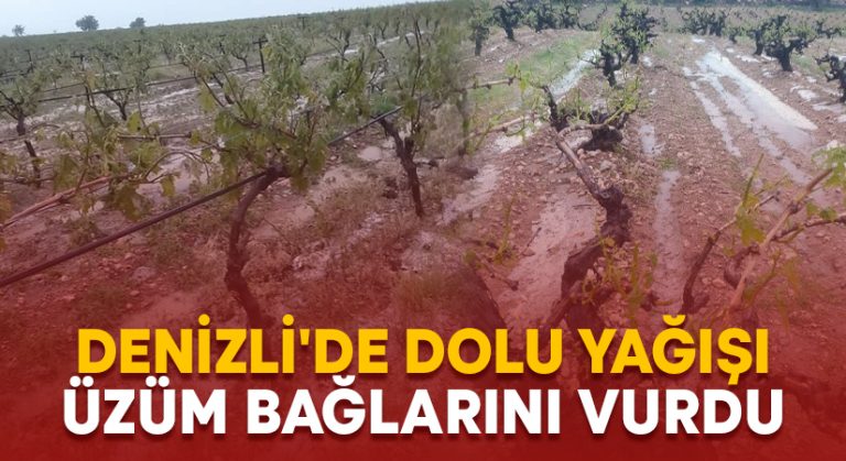 Denizli’de dolu yağışı üzüm bağlarını vurdu