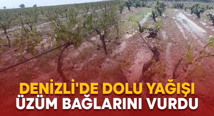 Denizli’de dolu yağışı üzüm bağlarını vurdu