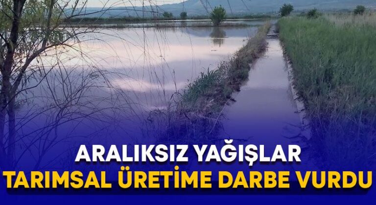 Aralıksız yağışlar tarımsal üretimi olumsuz etkiledi